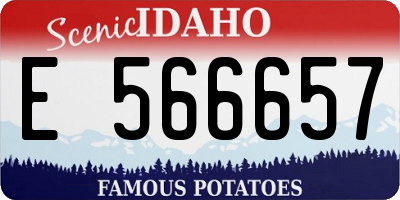 ID license plate E566657
