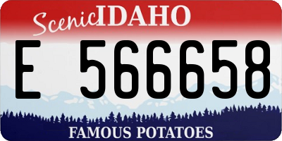 ID license plate E566658