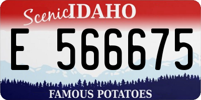 ID license plate E566675