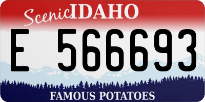ID license plate E566693