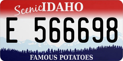 ID license plate E566698