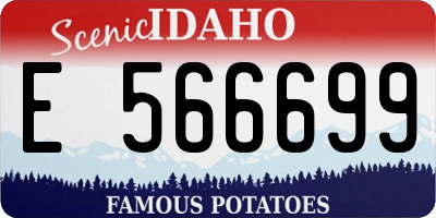 ID license plate E566699