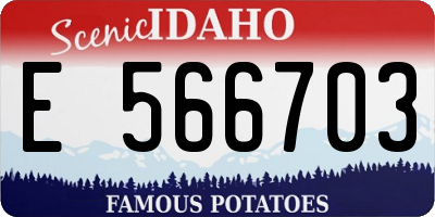 ID license plate E566703