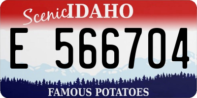ID license plate E566704