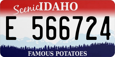 ID license plate E566724