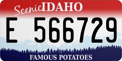 ID license plate E566729