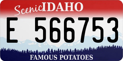 ID license plate E566753