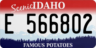 ID license plate E566802