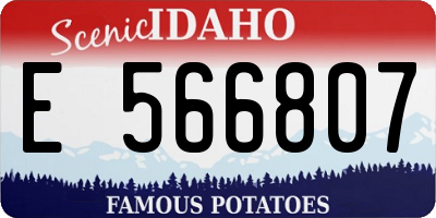 ID license plate E566807