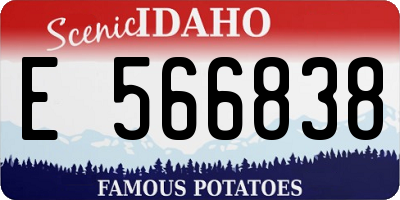 ID license plate E566838
