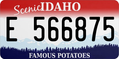 ID license plate E566875