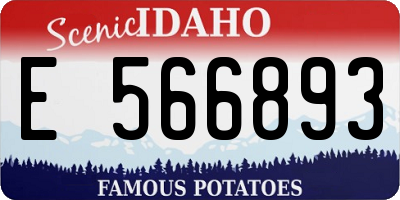ID license plate E566893