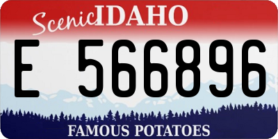 ID license plate E566896