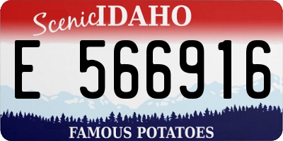 ID license plate E566916