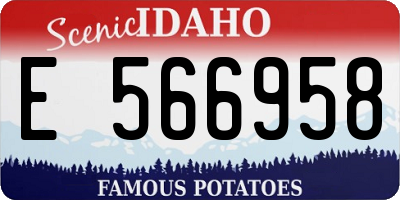 ID license plate E566958
