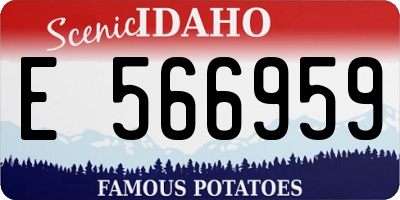 ID license plate E566959
