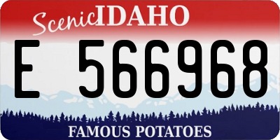 ID license plate E566968