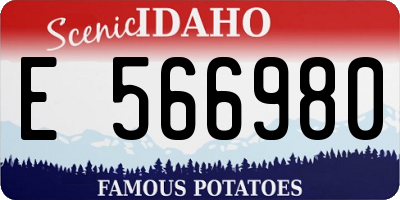 ID license plate E566980