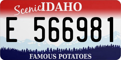ID license plate E566981