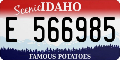 ID license plate E566985