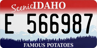 ID license plate E566987