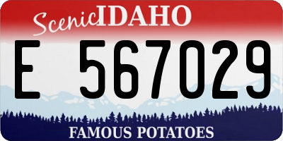 ID license plate E567029