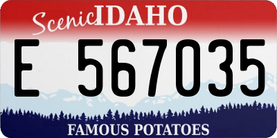 ID license plate E567035