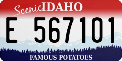 ID license plate E567101