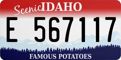ID license plate E567117