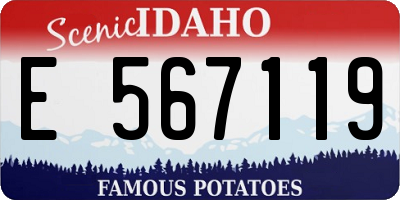 ID license plate E567119