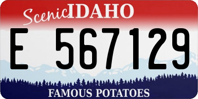 ID license plate E567129
