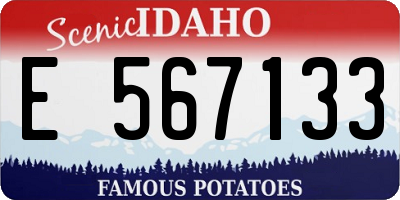ID license plate E567133