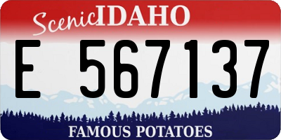 ID license plate E567137