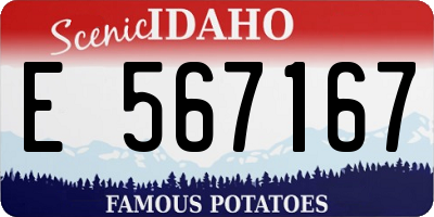 ID license plate E567167