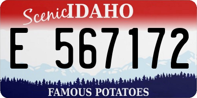 ID license plate E567172