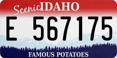 ID license plate E567175
