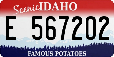 ID license plate E567202