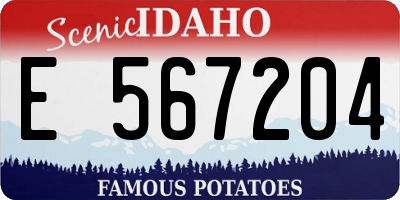 ID license plate E567204