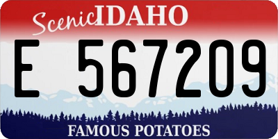 ID license plate E567209