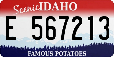 ID license plate E567213
