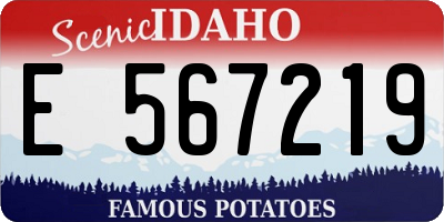 ID license plate E567219