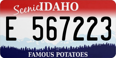 ID license plate E567223