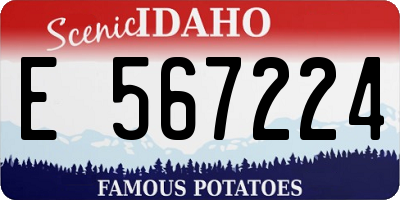 ID license plate E567224