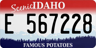 ID license plate E567228