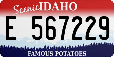 ID license plate E567229
