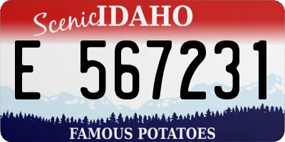 ID license plate E567231