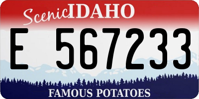 ID license plate E567233