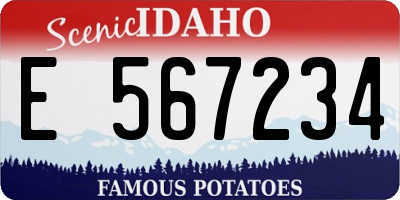 ID license plate E567234