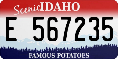 ID license plate E567235