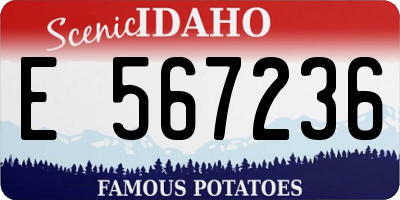 ID license plate E567236